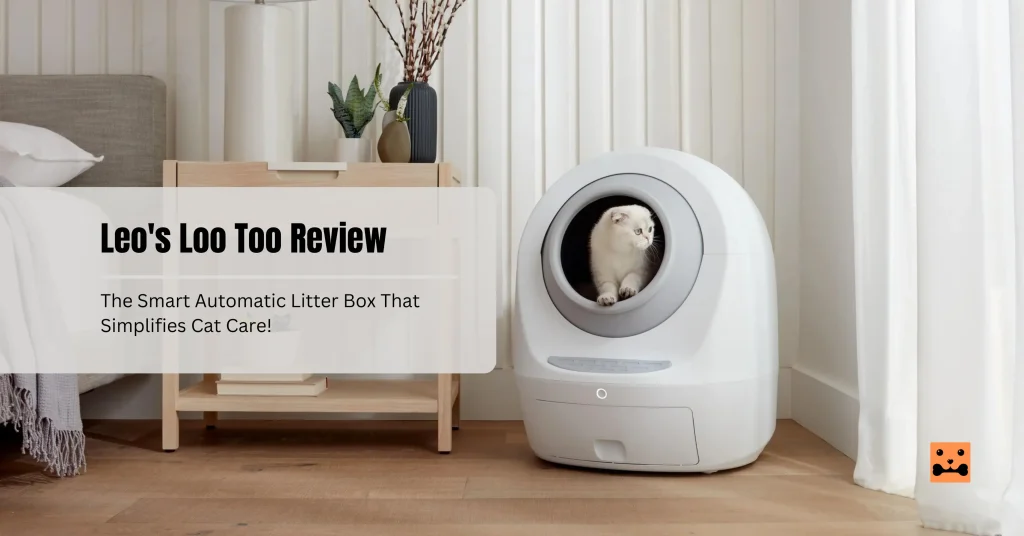 Leo's Loo Too Review post feature image