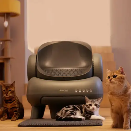 Neakasa M1 Cat Litter Box Quick Summary image