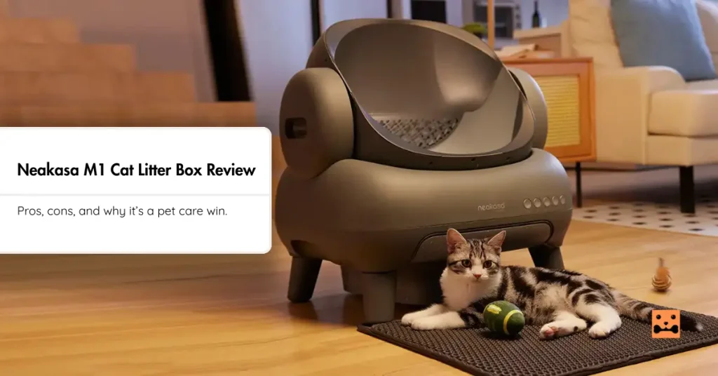 Neakasa M1 Cat Litter Box Review Feature