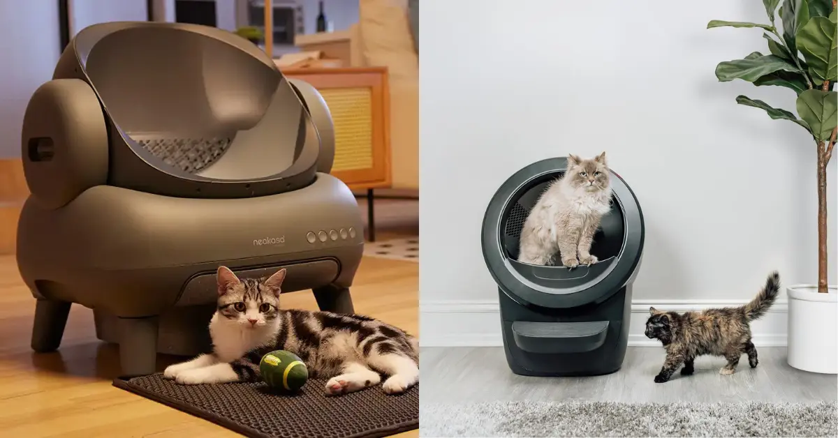 Neakasa M1 Cat Litter Box Vs. Litter-Robot 4