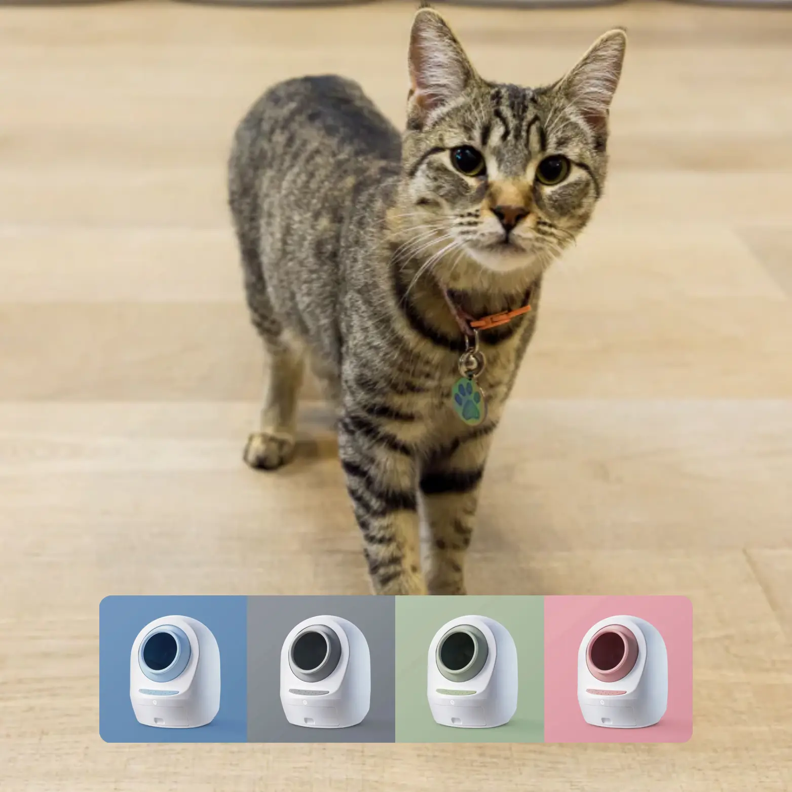 Should You Buy the Leo's Loo Too?