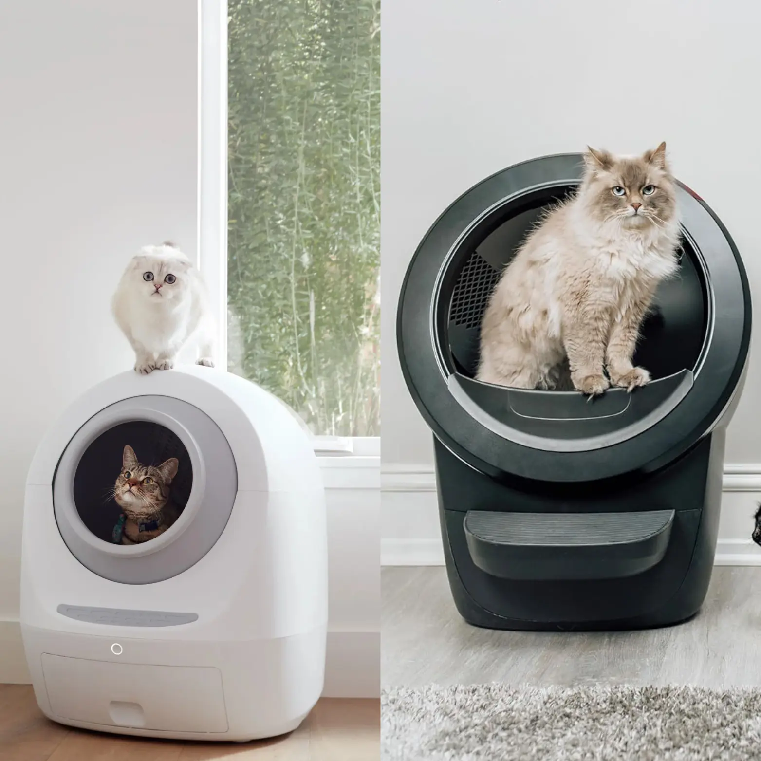 Size and Capacity Showdown (vs. Litter-Robot 4)